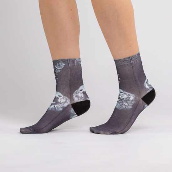 Alternative view of Labrador