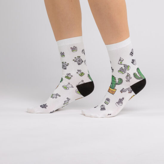 Alternative view of Cactus