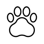 Черни кубинки естествена кожа Sao | Exclusive Collection 10085BL Без категория 8